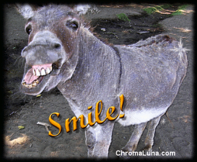 Another Smile image: (Smile_Donkey) for MySpace from ChromaLuna