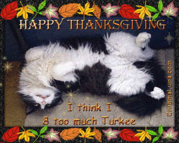 Another thanksgiving image: (ThanksgivingStuffed2) for MySpace from ChromaLuna