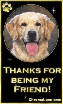Another thankyou image: (DogFriend) for MySpace from ChromaLuna