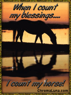 Another Horse_Comments image: (Blessings_Horse) for MySpace from ChromaLuna