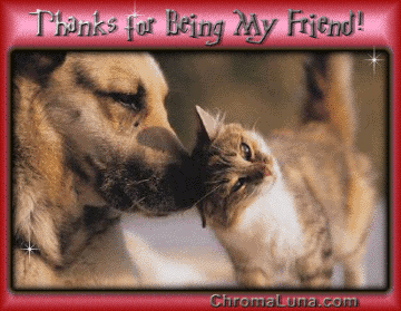 Another friendship image: (CatDogThanks2) for MySpace from ChromaLuna