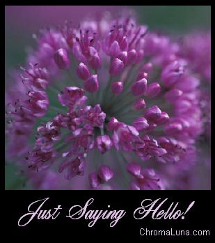 Another greetings image: (hello_purple_flower) for MySpace from ChromaLuna
