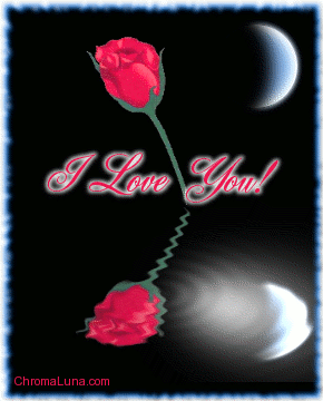 Another love image: (I_love_you_reflecting_rose) for MySpace from ChromaLuna
