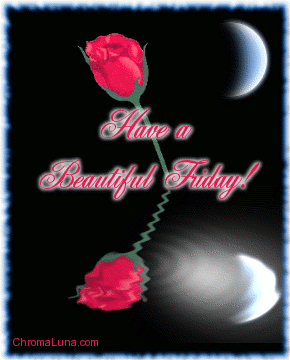 http://www.chromaluna.com/content/comments/weekdays/friday/beautiful_friday_reflecting_rose.gif