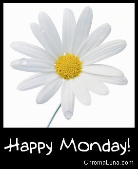 http://www.chromaluna.com/content/comments/weekdays/monday/happy_monday_daisy.JPG