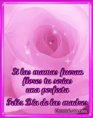 Another Spanish mothers day gifs image: (Pink_rose_Dia_Madres) for MySpace from ChromaLuna