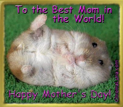 Another mothersday image: (Mothers_Day_Hamester) for MySpace from ChromaLuna
