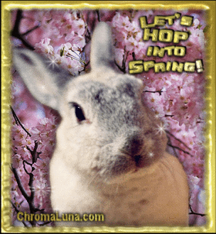 Another spring image: (Spring_Bunny) for MySpace from ChromaLuna