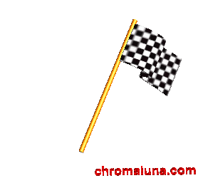 NASCAR waving checkered Flag Commnet