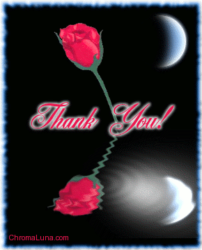 thank_you_reflecting_rose.gif