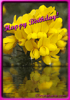 Another friends image: (Birthday_Flower_ripple) for MySpace from ChromaLuna