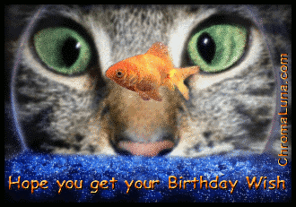 Another friends image: (CatFishbowlBirthday) for MySpace from ChromaLuna