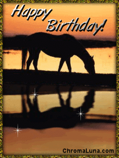 Another friends image: (Horse_Birthday) for MySpace from ChromaLuna