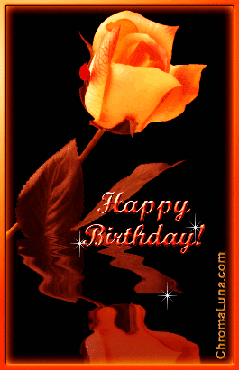 Myspace Orange Rose Birthday Graphic