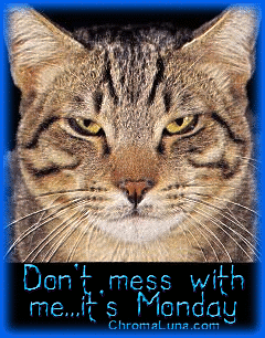 Another monday image: (CatMonday) for MySpace from ChromaLuna