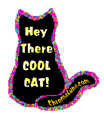 Another cats image: (cool_cat_confetti) for MySpace from ChromaLuna