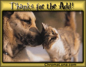 Another thankyou image: (CatDogThanks3) for MySpace from ChromaLuna
