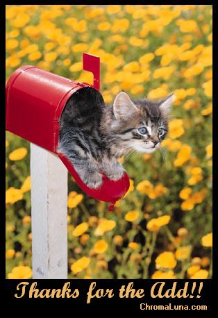 Another thankyou image: (Mailbox) for MySpace from ChromaLuna