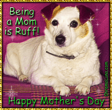 MySpace Dog Mother's Day Comment