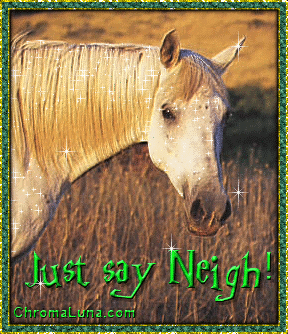 Another Horse_Comments image: (Just_Say_Neigh) for MySpace from ChromaLuna