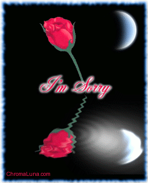 Another apologies image: (im_sorry_reflecting_rose) for MySpace from ChromaLuna
