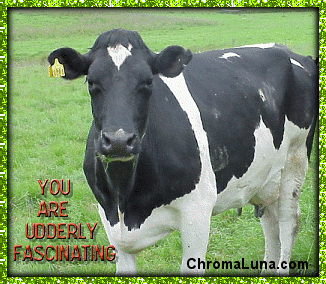 Another attitude image: (UdderlyFascinating) for MySpace from ChromaLuna