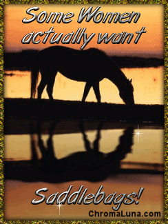 Another attitude image: (Women_Want_Saddlebags) for MySpace from ChromaLuna