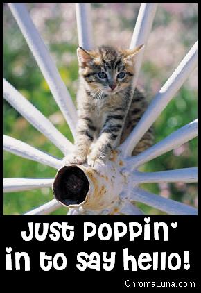 Another greetings image: (just_poppin_in_kitten) for MySpace from ChromaLuna