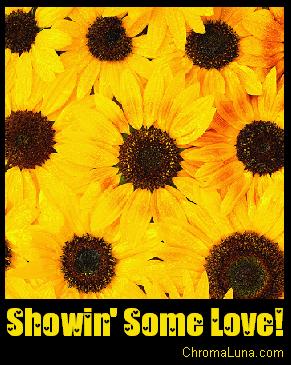 Another greetings image: (some_love_blackeyed_susans) for MySpace from ChromaLuna