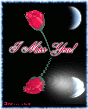 Another missyou image: (I_miss_you_reflecting_rose) for MySpace from ChromaLuna