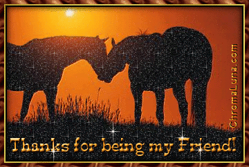 Another responses image: (Horse_Sunset_Friend) for MySpace from ChromaLuna
