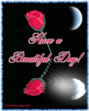 Another anyday image: (beautiful_day_rose) for MySpace from ChromaLuna