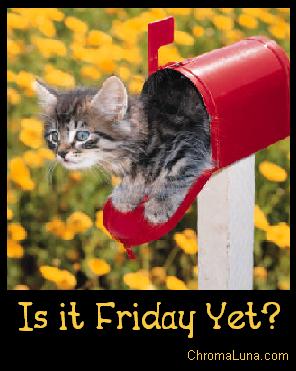 Another friday image: (friday_yet_kitten) for MySpace from ChromaLuna
