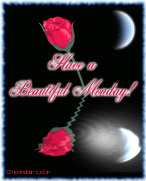 Another monday image: (beautiful_monday_reflecting_rose) for MySpace from ChromaLuna