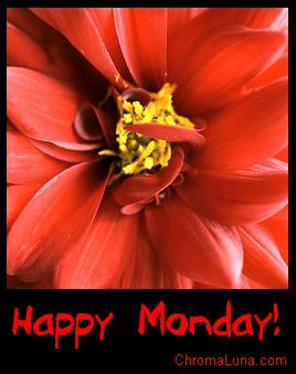 Another monday image: (happy_monday_red_flower) for MySpace from ChromaLuna