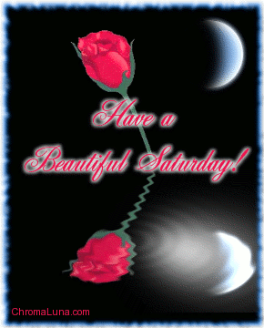 Another saturday image: (beautiful_saturday_reflecting_rose) for MySpace from ChromaLuna