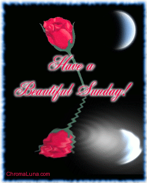 Another sunday image: (beautiful_sunday_reflecting_rose) for MySpace from ChromaLuna