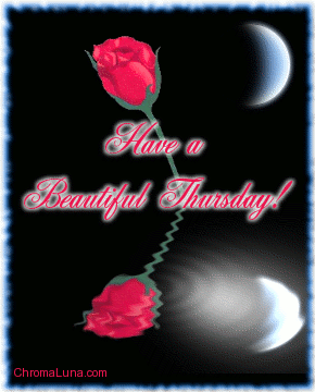 Another thursday image: (beautiful_thursday_reflecting_rose) for MySpace from ChromaLuna
