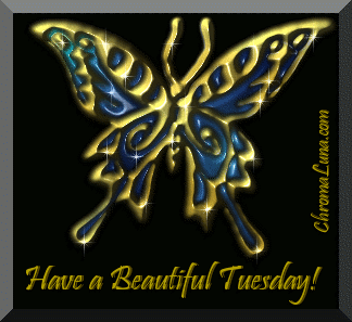 Another tuesday image: (beautiful_tuesday_butterfly) for MySpace from ChromaLuna