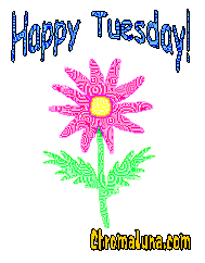 Another tuesday image: (happy_tuesday_flower1) for MySpace from ChromaLuna