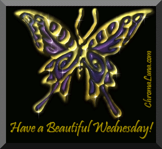 Another wednesday image: (beautiful_wednesday_butterfly) for MySpace from ChromaLuna