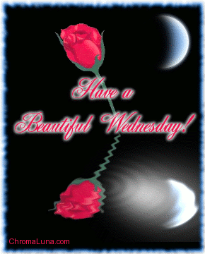 Another wednesday image: (beautiful_wednesday_reflecting_rose) for MySpace from ChromaLuna