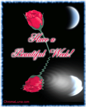 Another week image: (beautiful_week_reflecting_rose) for MySpace from ChromaLuna
