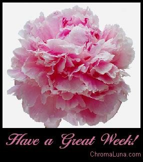 Another week image: (great_week_pink_carnation) for MySpace from ChromaLuna