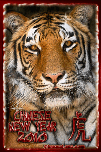 Another chinesenewyear image: (Year_of_the_Tiger) for MySpace from ChromaLuna