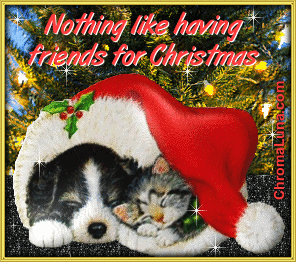 Another christmas image: (CatDogChristmas) for MySpace from ChromaLuna