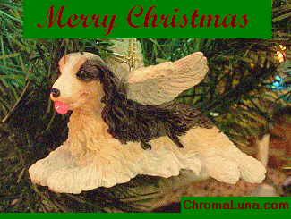 Another christmas image: (SpanielChristmas2) for MySpace from ChromaLuna.com