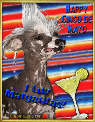 Another cincodemayo image: (CincoDeMayo-Margaritas) for MySpace from ChromaLuna