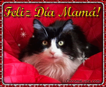 Another diadelosmadres image: (FelizDiaMama_Cat) for MySpace from ChromaLuna