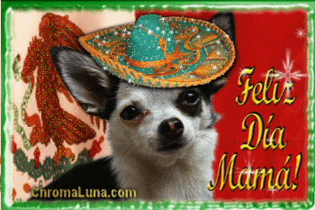 Another diadelosmadres image: (FelizDiaMama_Chihuahua) for MySpace from ChromaLuna